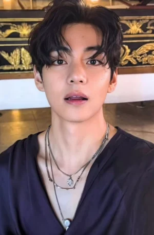Posters Tae - BTS